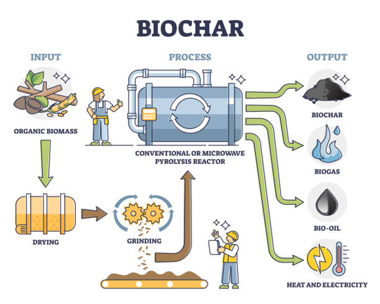 Biomass Pyrolysis & Char Activation.png